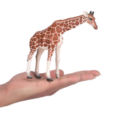 جرافة موجو الأنثى